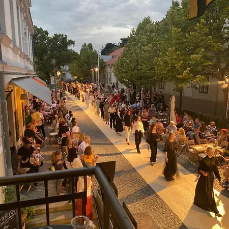 Kedves Vendeghaz Frühstückspension Balatonfüred