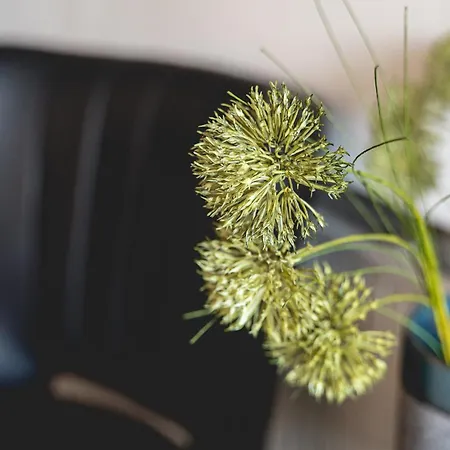 Kedves Vendeghaz Bed & Breakfast 3*